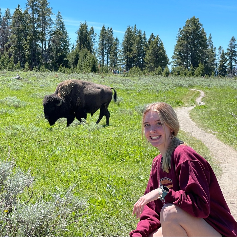 Meet your Posher, Bree